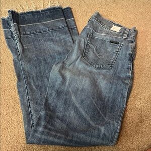 Hudson Dani Jeans Women's wide Leg Blue Denim